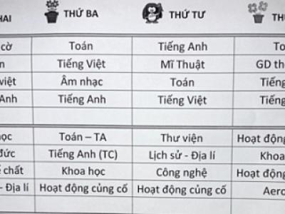 Bốn địa phương chấn chỉnh dạy liên kết trong trường