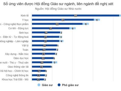 89 ứng viên bị loại khỏi danh sách xét giáo sư, phó giáo sư